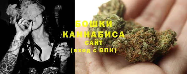 сатива Пролетарск