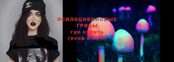 apvp Алексеевка