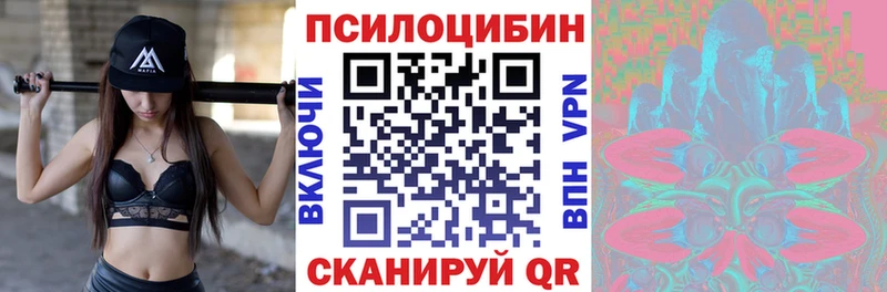 Псилоцибиновые грибы Cubensis  Петровск-Забайкальский 